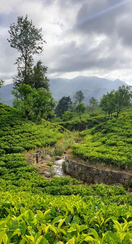 Photo from Sri Lanka