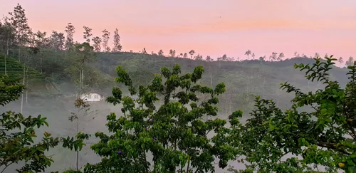 Photo from Sri Lanka