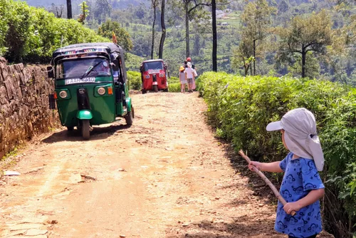 Photo from Sri Lanka