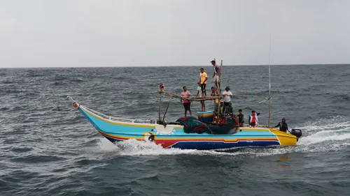 Photo from Sri Lanka