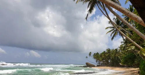 Photo from Sri Lanka