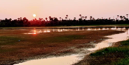 Photo from Sri Lanka