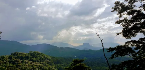 Photo from Sri Lanka