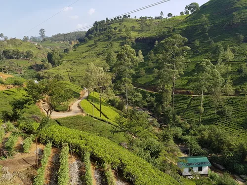 Photo from Sri Lanka
