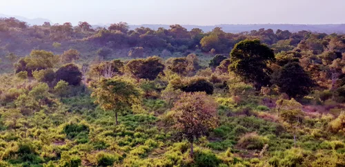Photo from Sri Lanka