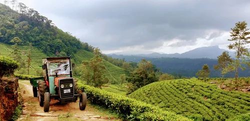 Photo from Sri Lanka