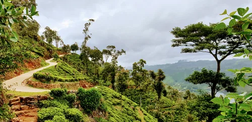 Photo from Sri Lanka
