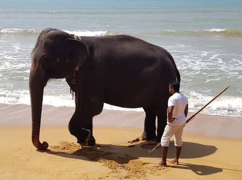 Photo from Sri Lanka