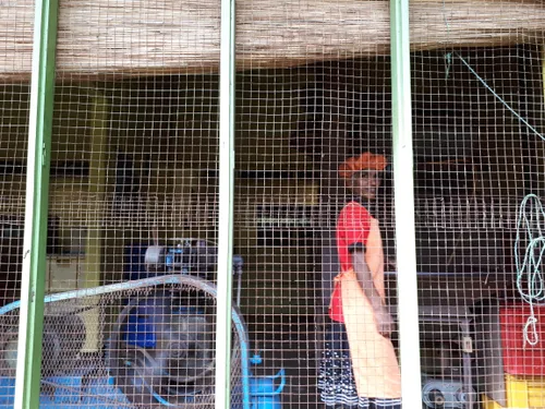 Photo from Sri Lanka