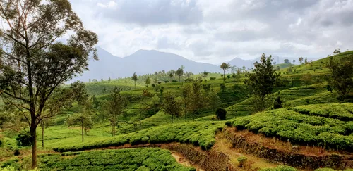 Photo from Sri Lanka