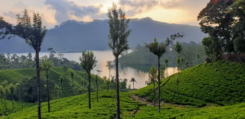 Photo from Sri Lanka