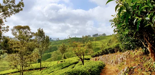 Photo from Sri Lanka