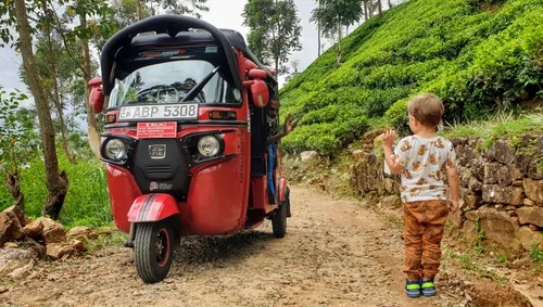 Photo from Sri Lanka