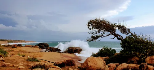Photo from Sri Lanka