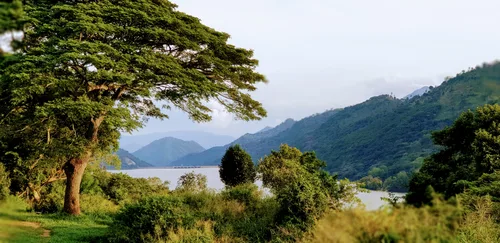 Photo from Sri Lanka