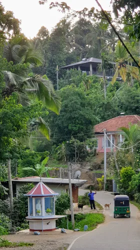 Photo from Sri Lanka