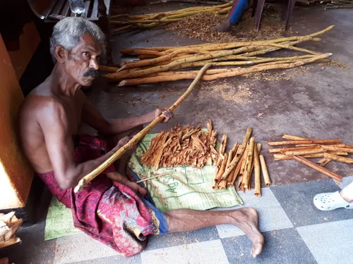 Photo from Sri Lanka