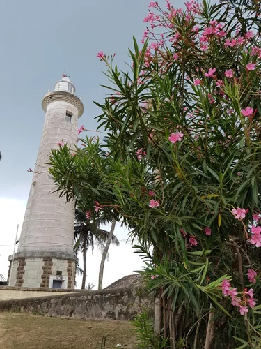 Photo from Sri Lanka
