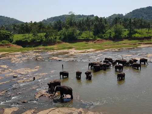 Photo from Sri Lanka