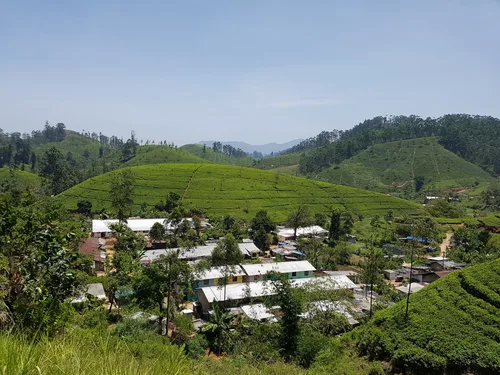 Photo from Sri Lanka