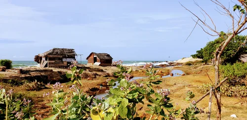 Photo from Sri Lanka