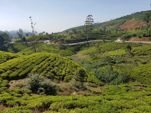 Photo from Sri Lanka