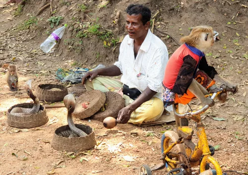 Photo from Sri Lanka