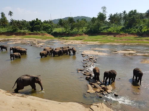 Photo from Sri Lanka