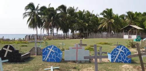 Photo from Sri Lanka