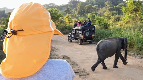Photo from Sri Lanka