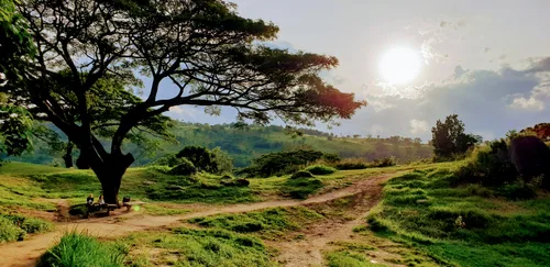 Photo from Sri Lanka