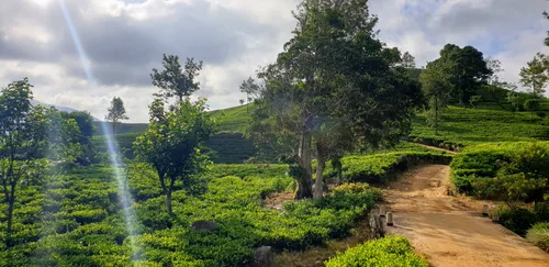 Photo from Sri Lanka