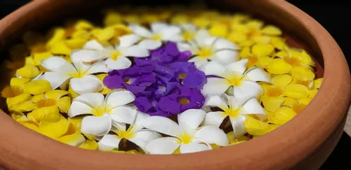 Photo from Sri Lanka