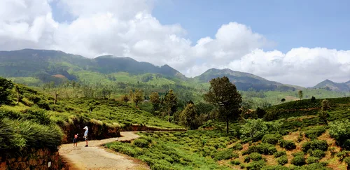 Photo from Sri Lanka