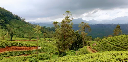 Photo from Sri Lanka