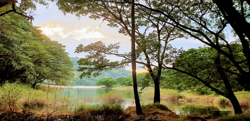 Photo from Sri Lanka