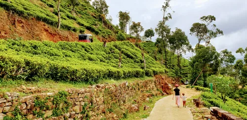 Photo from Sri Lanka