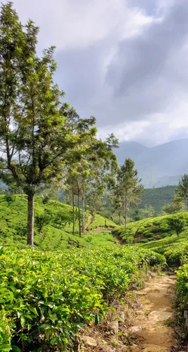 Photo from Sri Lanka