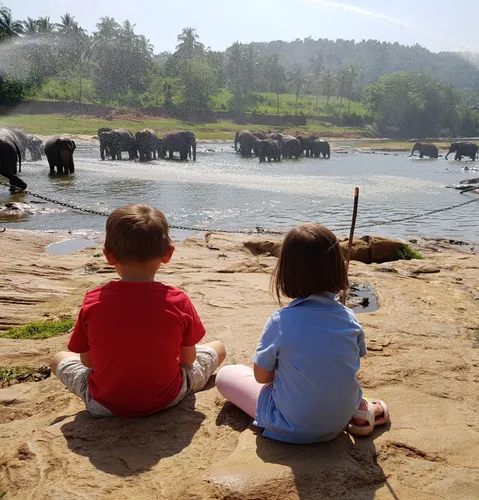 Photo from Sri Lanka