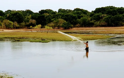 Photo from Sri Lanka