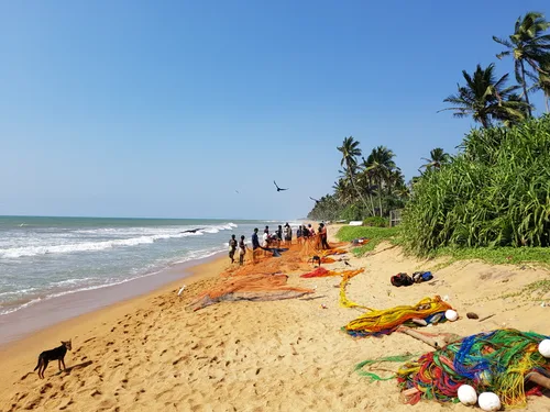 Photo from Sri Lanka