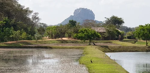 Photo from Sri Lanka
