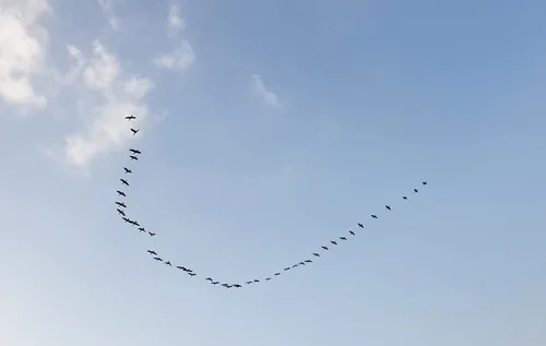 Photo from Sri Lanka