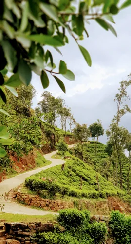 Photo from Sri Lanka