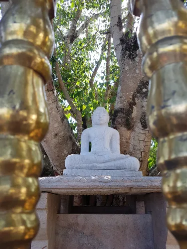 Photo from Sri Lanka