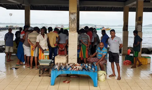 Photo from Sri Lanka