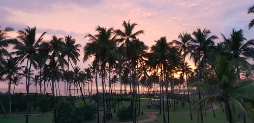 Photo from Sri Lanka