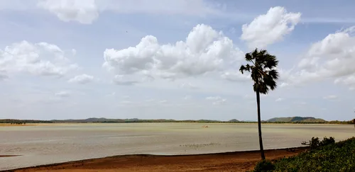 Photo from Sri Lanka