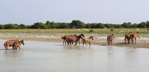 Photo from Sri Lanka