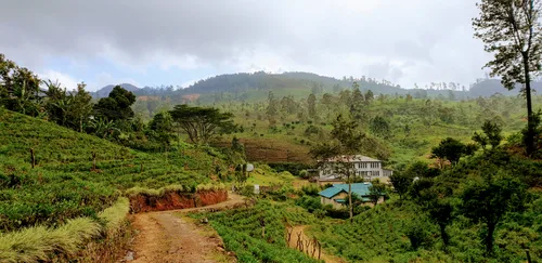 Photo from Sri Lanka